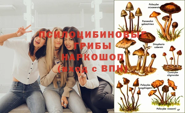 2c-b Касимов
