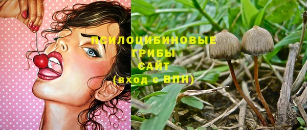 2c-b Касимов