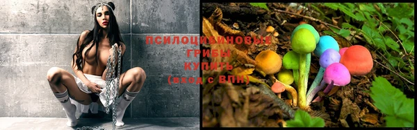 прущая мука Карпинск