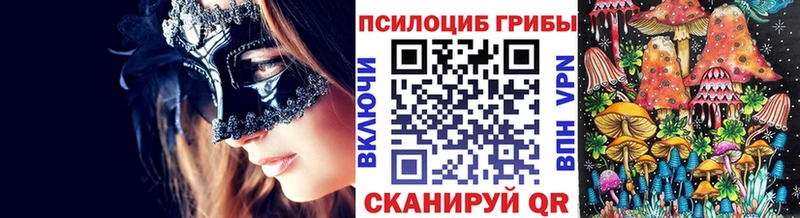 Псилоцибиновые грибы Psilocybine cubensis  Южа 
